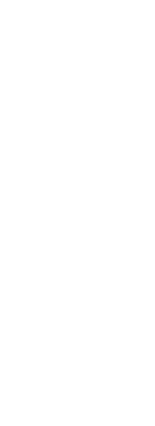 NetPropriate_Center_Divide_Graphic